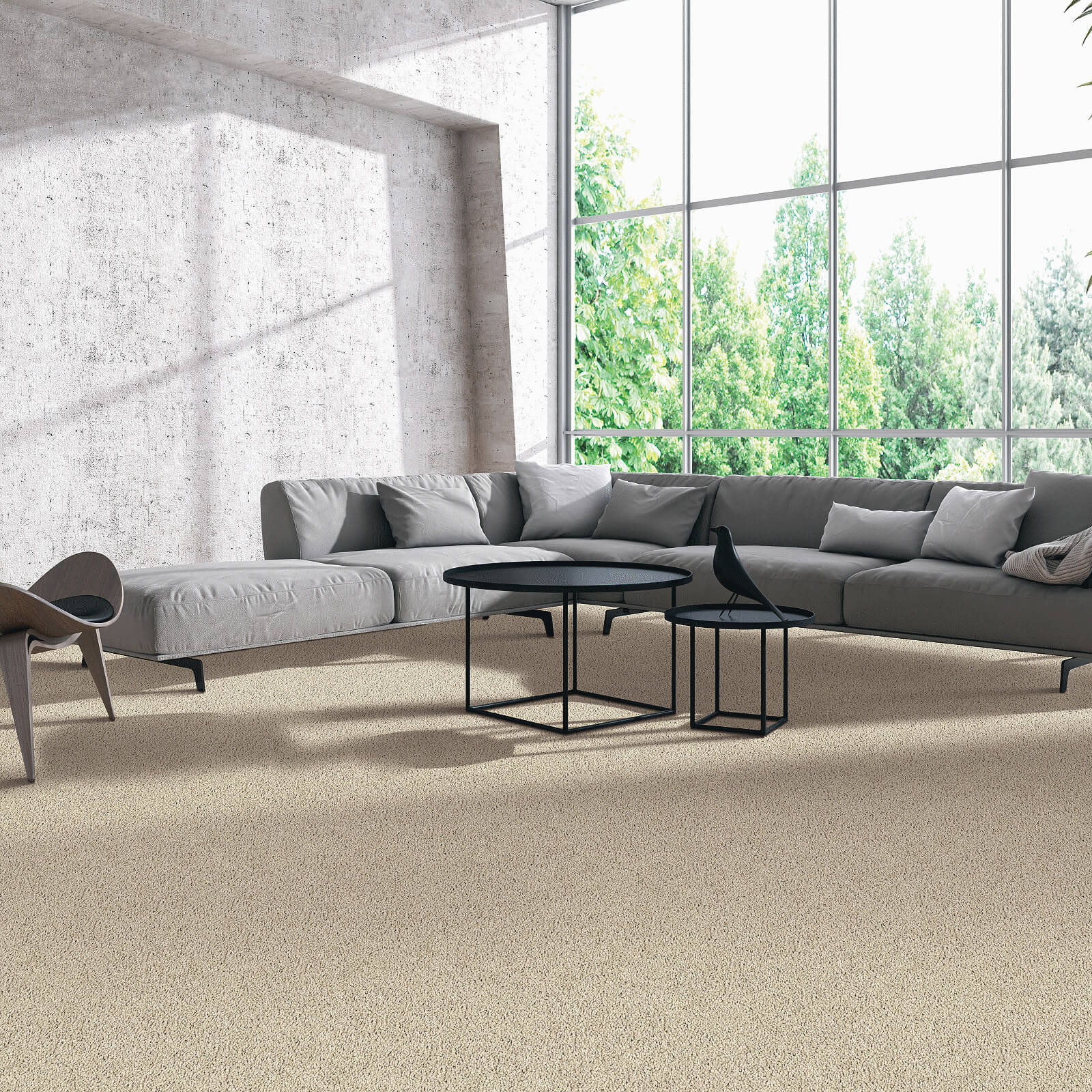 Modern living room flooring | Mills Floor Covering