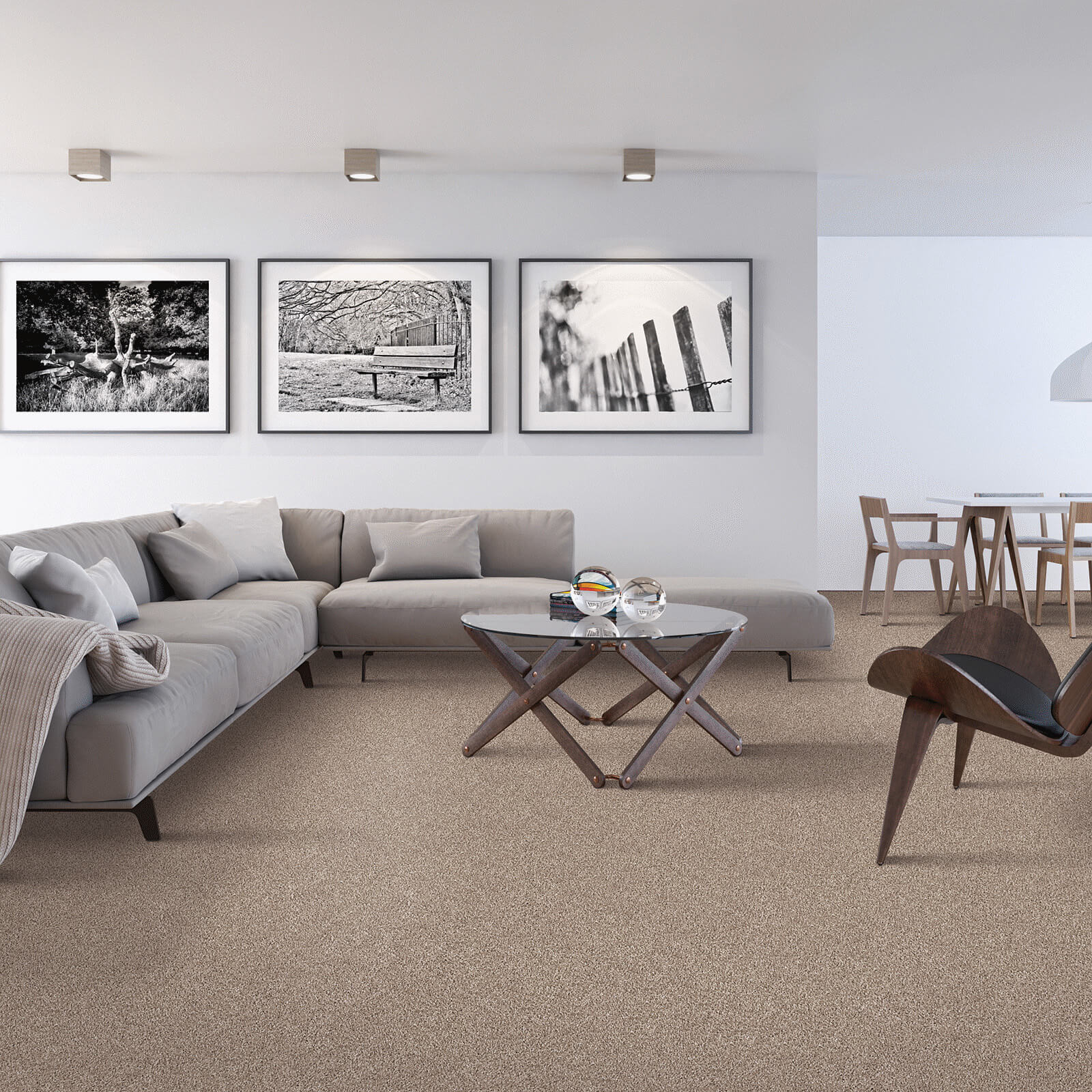 Modern living room carpet flooring | Mills Floor Covering