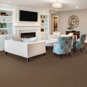 Modern living room | Mills Floor Covering