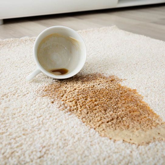 Coffee spill on carpet | Mills Floor Covering